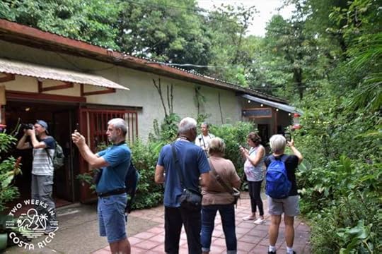 Feeders at Monteverde Hummingbird Gallery
