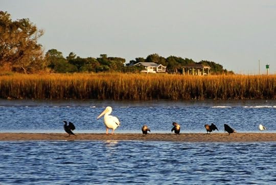 Timucuan sand bar