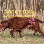 dog dna