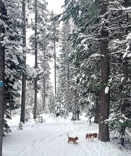 thesimplyluxuriouslife.com | The Simply Luxurious Life