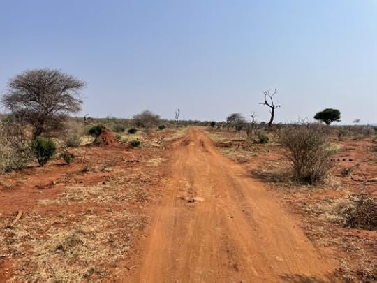 12 Things We Love About South Africa