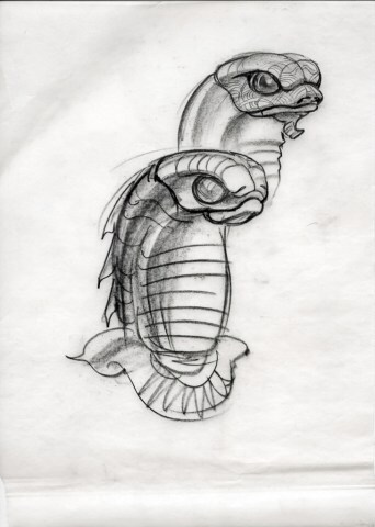 Fa_0078-6