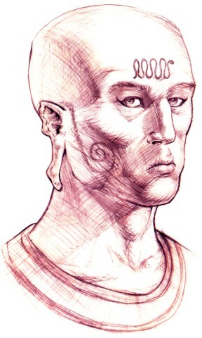 Teal-c-option-3