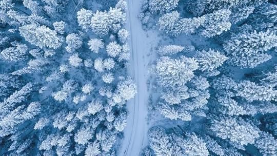 Aerial Photography of Snow Covered Trees by Ruvim Miksanskiy