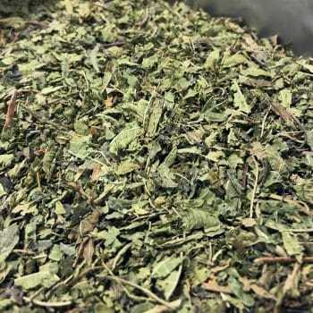 Verbena Verveine thee - Citroenverbena infusie - Thee.be