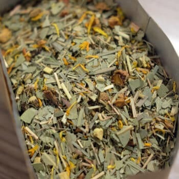 Ayurvedische kruidenthee met eucalyptus en citroengras. Spirit Guide - Thee.be