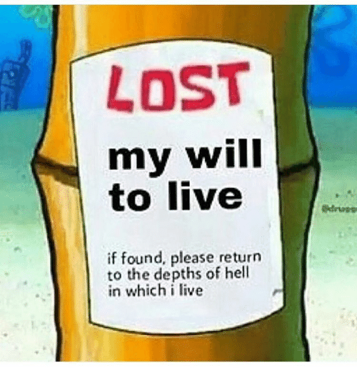 lost-my-will-to-live-if-found-please-return-to-4787695