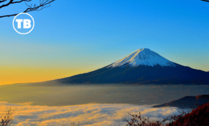 Tubbservatory Round-Up #11 – November 2022