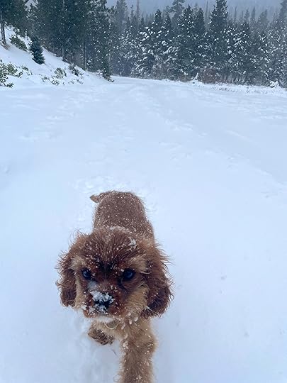 thesimplyluxuriouslife.com | The Simply Luxurious Life