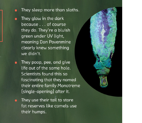 Screenshot-2022-12-09-153919