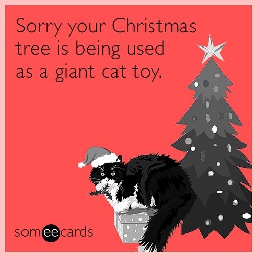 Jingle crash