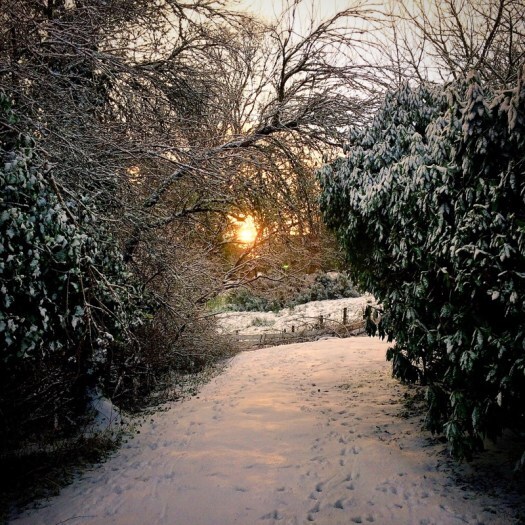Low sun in the snow: snowy Scottish scenes
