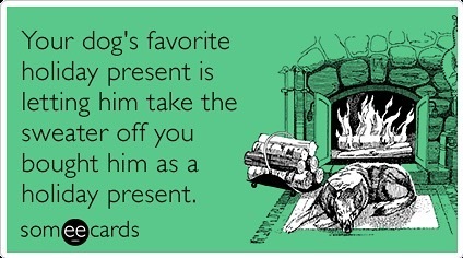 Your dog hates you when you do this