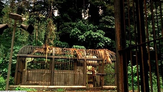 Sawyer in the polar bear cages