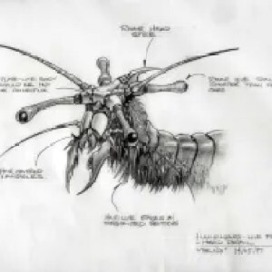 Fa-0126-7