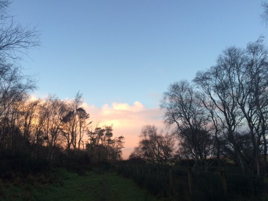 winter deepens