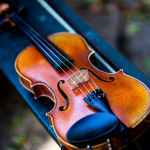 close up photo of violin