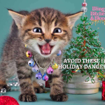 pet holiday danger