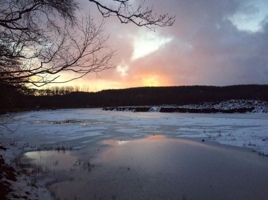 bright colour in thawed places
