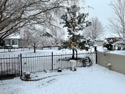 winter wonderland