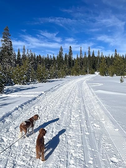 thesimplyluxuriouslife.com | The Simply Luxurious Life