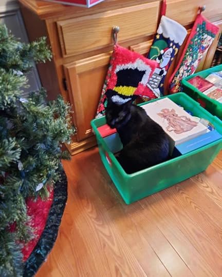 Ozzy helps decorate the tree