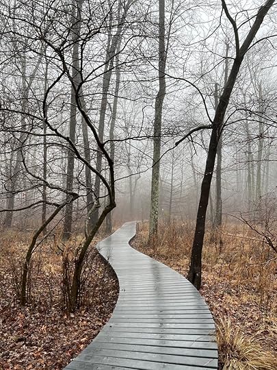 Walkway in the woods — A photo by Jonathan VanAntwerpen