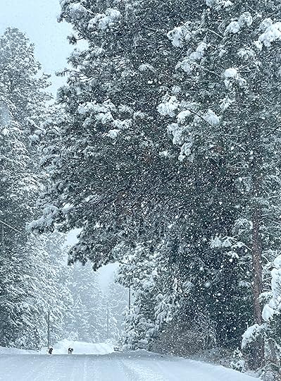 thesimplyluxuriouslife.com | The Simply Luxurious Life