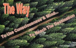 The way to use consciousness and mind to reach the destination