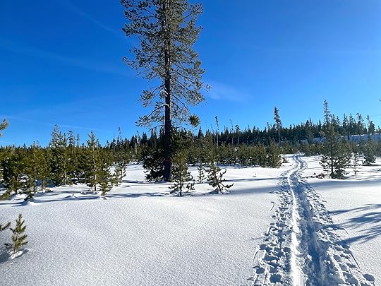 thesimplyluxuriouslife.com | The Simply Luxurious Life