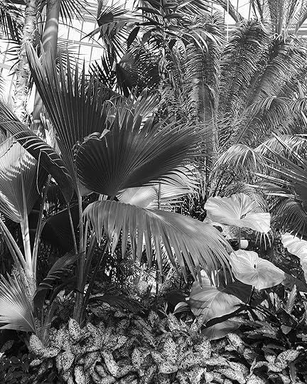 Pao Houa Her, <em>After the Fall of Hmong Tebchaw (Como Park conservatory)</em>, 2017″>		</div>		<div class=