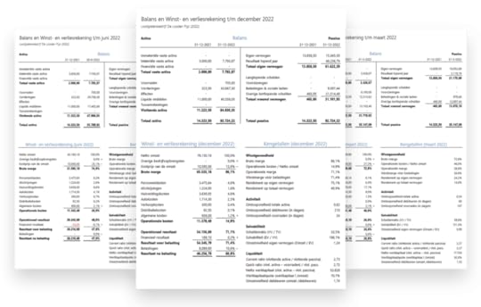 Balans en winst- en verliesrekening per periode opvraagbaar