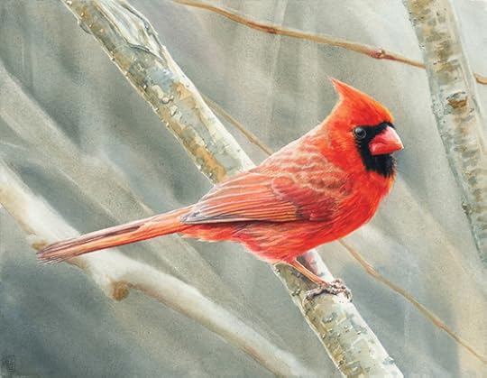 Water color painting of a male Northern Cardinal. This bright red bird with a little black mask of feathers, and a red beak, is perched on a branch running diagonally through the frame. The background is painted in the muted tones of a grey and damp early spring day. The Cardinal's expression is one of playful superiority, hence the title, "Cardinal Ruler".