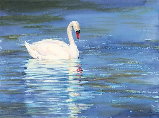 Water color painting of a white swan on a deep blue pond. The swan is looking down at its own reflection in the surface of the water. Painting by Canadian Artist JC Little.
