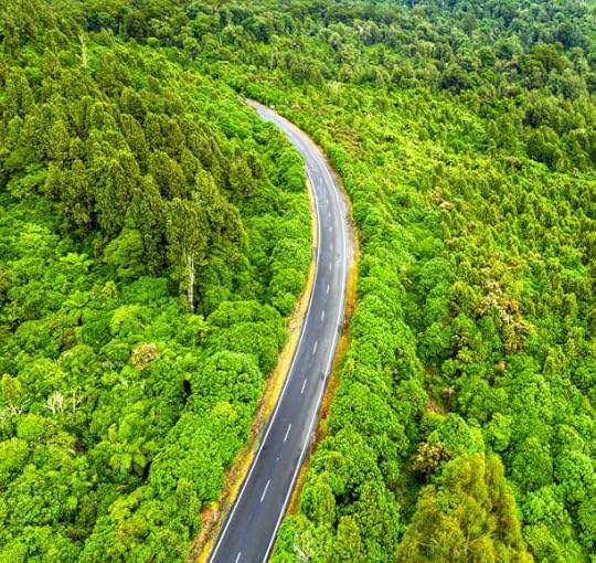 Quiet in Her Bones by Nalini Singh Goodreads