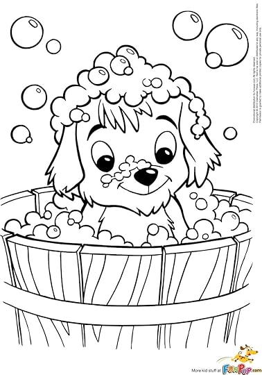 Puppy Colors & Markings – Sunny Day Puppies