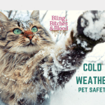 pets and cold weather