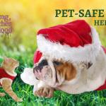 pet safe ornaments