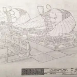 11337130_850646358318558_453149316367281729_o