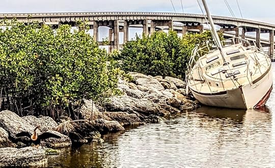 Cormorant and wreck