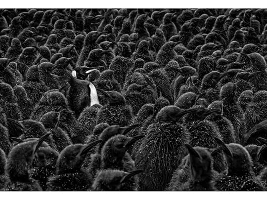 69881-C77-4971-47-EB-9-AB6-2-F4185-F1594-E