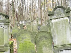 Mossy headstone amidst trees at the Warsaw Jewish Cemetery