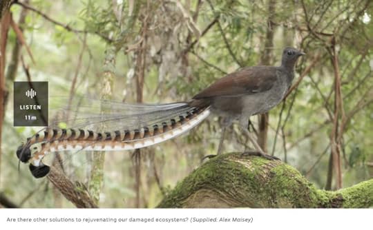 ABC Radio with Simon Mustoe on Wildlife in the Balance