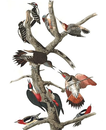 goals, Christmas, nostalgia