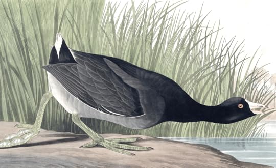 how i'm spending dead week