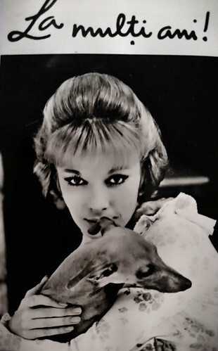 La multi ani! Dany Saval