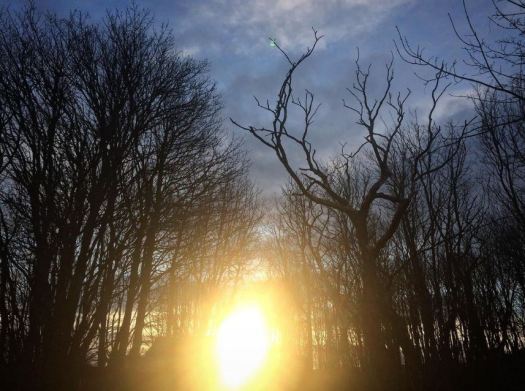 light at the end of the year
