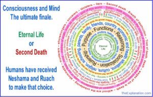 Consciousness and mind. Humans receive them to make a choice: Eternal life or Second death.