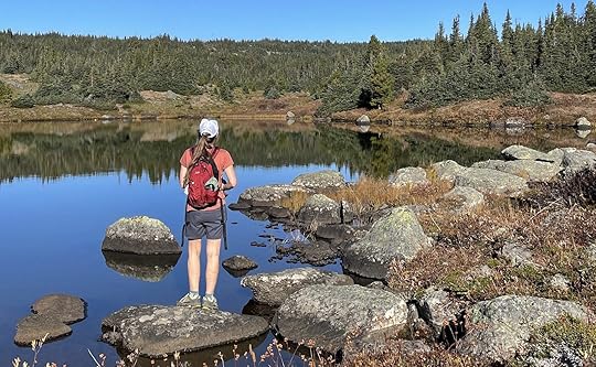 women's hiking shorts- sierra designs