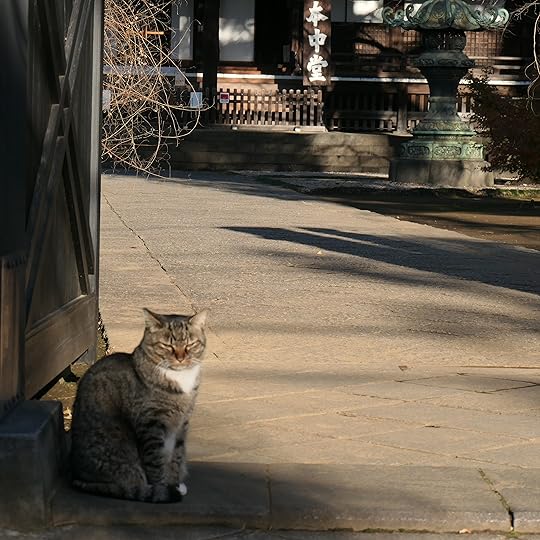 Cat at the entrance of Kaneiji Temple, Tokyo.